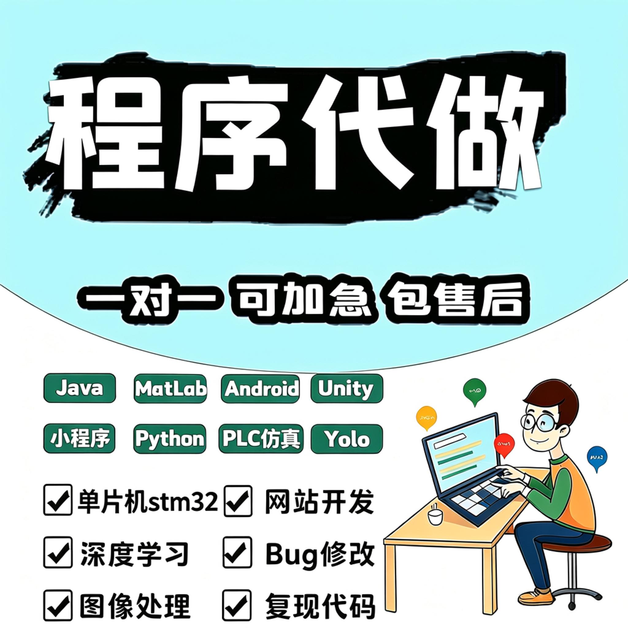 计算机程序设计定制开发服务